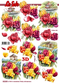 Billede: tulipaner ved lysthuse, nouvelle