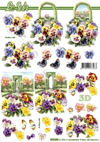 Billede: stedmoderblomst i haven, nouvelle