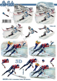 Billede: snowboard og hurtigløb på skøjter, nouvelle