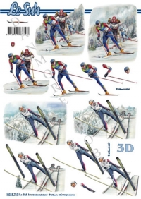 Billede: landrend og skihop, nouvelle