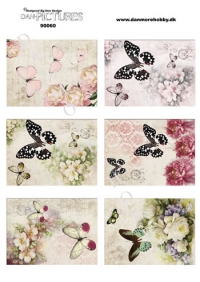 Billede: sommerfugle ved blomster, dan-pictures