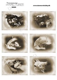 Billede: pige med hest vintage, dan-pictures