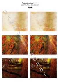 Billede: 6 baggrunde fra naturen, dan-pictures