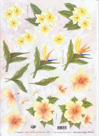 Billede: gule blomster, tierelantijntji
