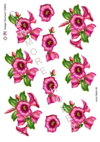 Billede: pink klematis, hmdesign, førpris kr. 6,- nupris