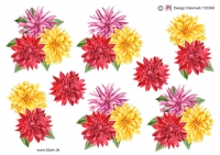 Billede: farverige blomster, hm-design