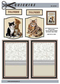 Billede: 2 x 2 katte, quickies