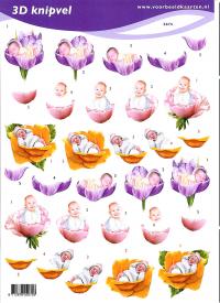 Billede: babyer i blomst, voorbeeldkaarten, tilbud