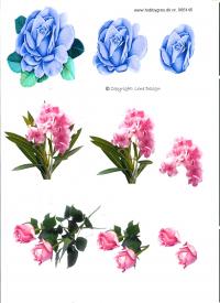Billede: blomster, tilbud