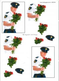 Billede: roser i lovens arm, tilbud