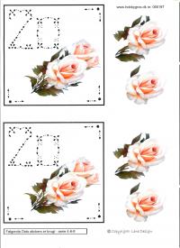 Billede: roser, 20 i dots, lene design, tilbud