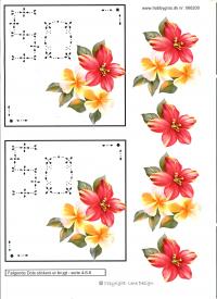 Billede: blomster, 50 i dots, lene design, tilbud