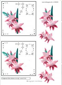 Billede: lilje, 70 i dots, lene design, tilbud