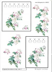 Billede: hvide roser med dotsmønster, lene design, tilbud