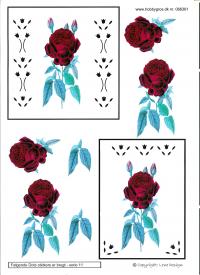 Billede: rose med dotsmønster, lene design, tilbud