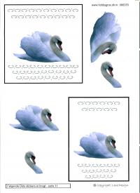 Billede: svane med dotsmønster, lene design, tilbud