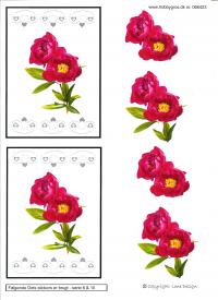 Billede: blomster med dotsmønster, lene design, tilbud