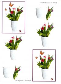 Billede: tulipaner i vase, lene design, tilbud