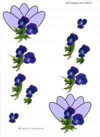 Billede: blomst, lene design, tilbud
