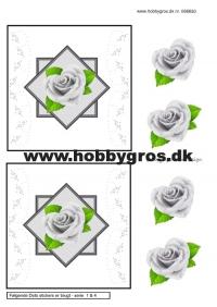 Billede: hvid rose med dotsmønster, lene design, tilbud