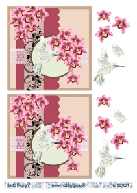 Billede: kolibri ved blomster på baggrund, barto design