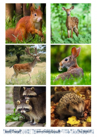 Billede: 6 billeder med skovens dyr, barto design
