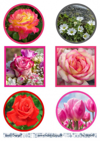 Billede: 6 blomsterbilleder, barto design