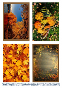 Billede: 4 efterårsbilleder, barto design