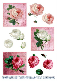 Billede: 3 billeder med roser, barto design