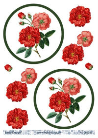 Billede: blomster i cirkel, barto design