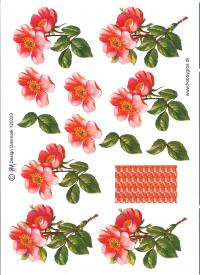 Billede: blomst, førpris kr. 6,- nupris