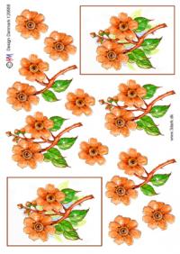 Billede: orange blomster, hmdesign, tilbud