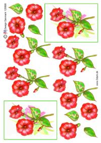 Billede: rød blomst, hmdesign, tilbud