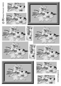 Billede: sort/hvid pyramide blomst, hmmetallic