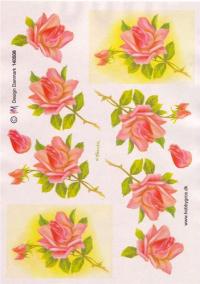 Billede: lyserød rose, hmmetallic