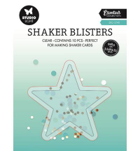 Billede: Studio Light Shaker Window 
