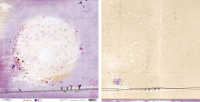 Billede: STUDIO LIGHT SCRAPBOOKING ARK 30,5×30,5CM 1 ARK SCRAPSS04, So Spring, førpris kr. 8,- nupris