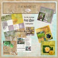 Billede: Ipis scrap og kort kit, juni måned, 11 ark 30,5x30,5cm incl. idéhæfte