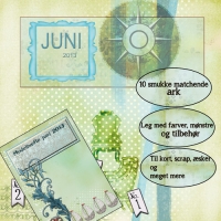 Billede: IPIS SCRAP & KORT KIT 30,5x30,5 CM 11 ARK JUNI 2013 + IDÉHÆFTE