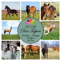 Billede: DIXI CRAFT TOPPERS 9X9CM 24 ARK ET0283, heste