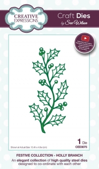 Billede: CREATIVE EXPRESSIONS SUE WILSON DIES CED3075, 10,4x4,8cm, førpris kr. 78,00, nupris