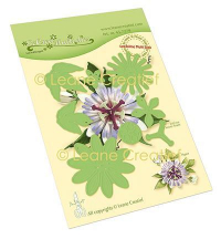 Billede: skære/prægeskabelon passionsblomst, LEANE DIE CUT/EMB, Passion Flower, 45.7279, passer til stempel p384535
