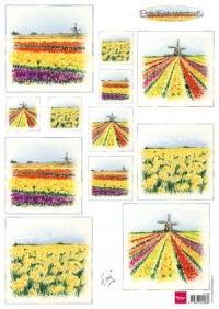 Billede: blomstermarker, MARIANNE DESIGN 1 ARK IT0582 Bulb Fields Windmills