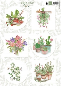 Billede: krydderurter og blomster, MARIANNE DESIGN 3D ARK 1 STK EWK1255 Herbs & Leaves 2