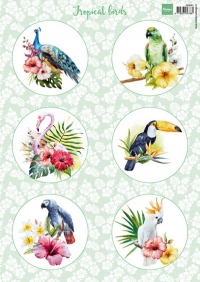 Billede: 6 eksotiske fugle, MARIANNE DESIGN 1 ARK VK9561
