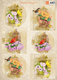 Billede: 6 billeder med fugle og fuglebure, MARIANNE DESIGN 1 ARK VK9585 Birds & Birdcage 1