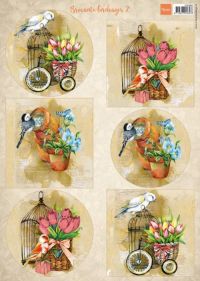 Billede: 6 billeder med fugle og fuglebure, MARIANNE DESIGN 1 ARK VK9586 Birds & Birdcage 2