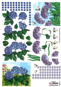 Billede: blomster, olba