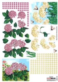 Billede: blomster, olba