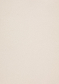 Billede: Paper Favourites Special - Metallic 120g A4/5 ark 